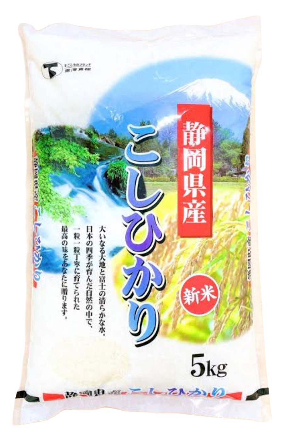 静岡県産　こしひかり