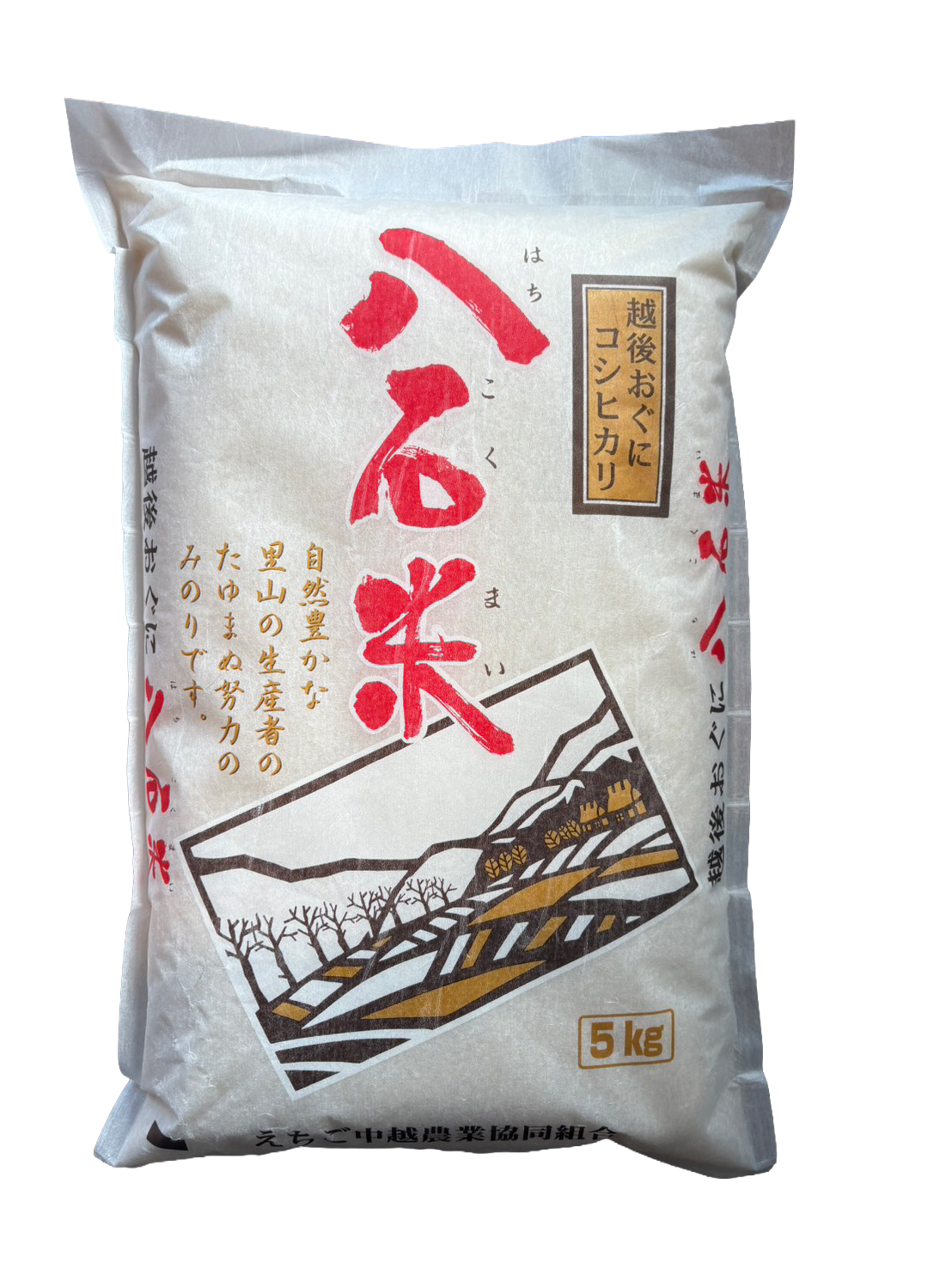 新潟県産『八石米』こしひかり